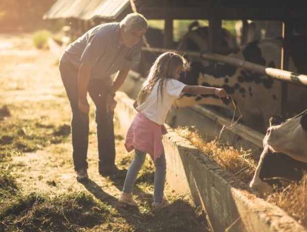 Zurich Farm Insurance Benefit FDC Group 2