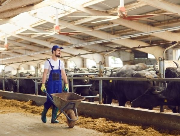 Zurich Farm Insurance Benefit FDC Group 3